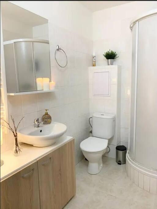 Utulny Byt V Jizerskych Horach -Apartman Mili Корженов Екстер'єр фото